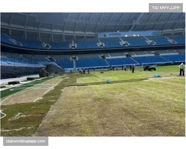 中超联赛球场条件受关注 深圳主场草坪问题致比赛延期